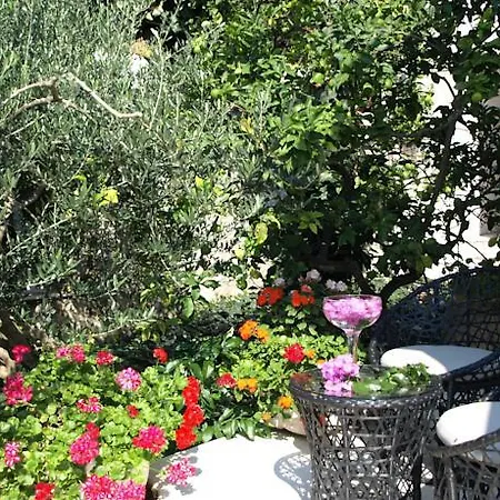 Kralj * 챠브타트